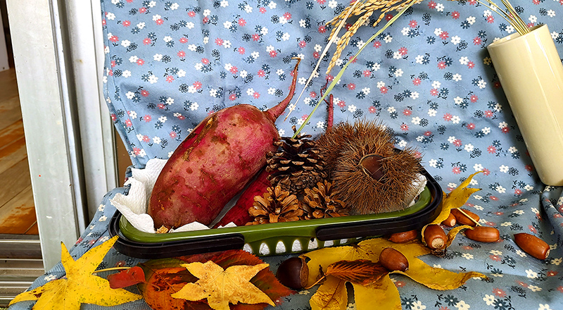 10月の行事画像