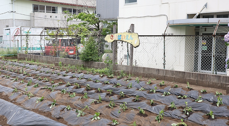 スライド画像